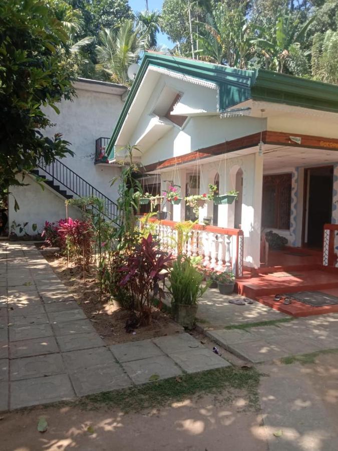 אלה Charming View Homestay מראה חיצוני תמונה