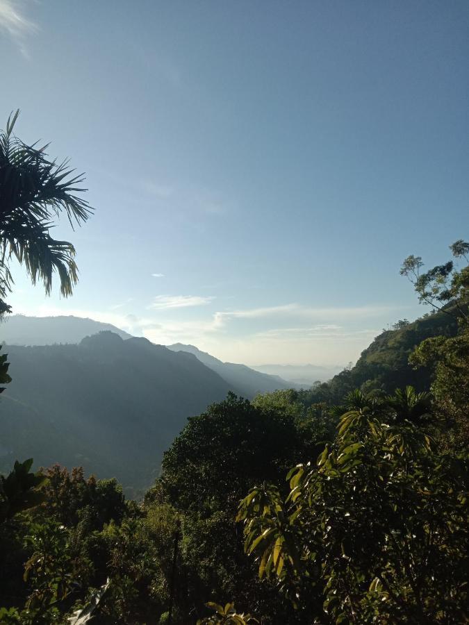 אלה Charming View Homestay מראה חיצוני תמונה