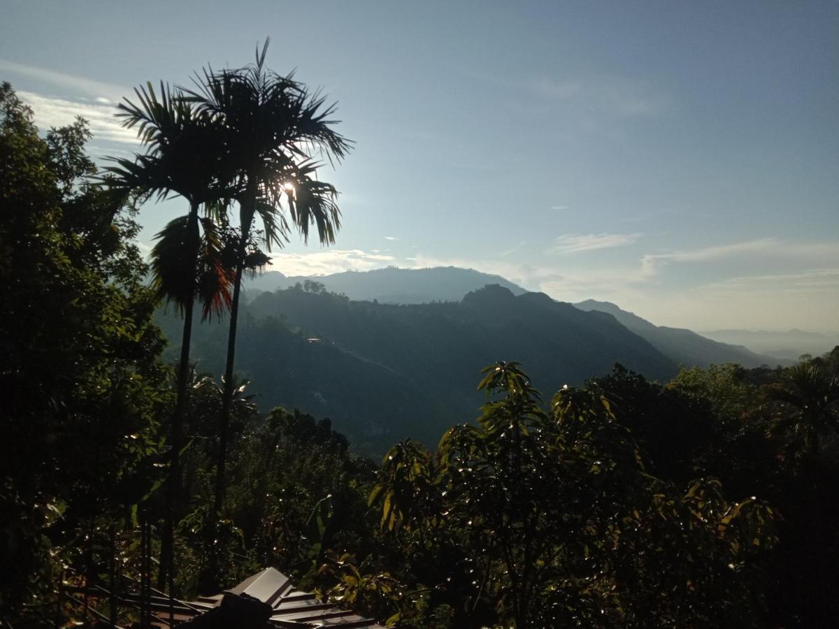 אלה Charming View Homestay מראה חיצוני תמונה