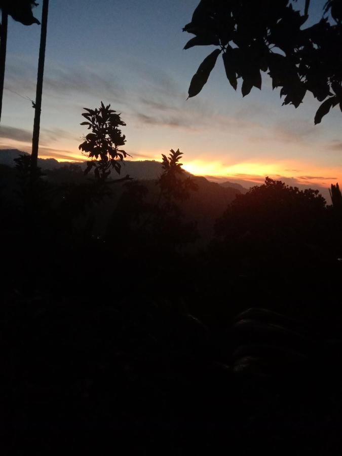 אלה Charming View Homestay מראה חיצוני תמונה