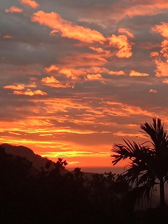 אלה Charming View Homestay מראה חיצוני תמונה