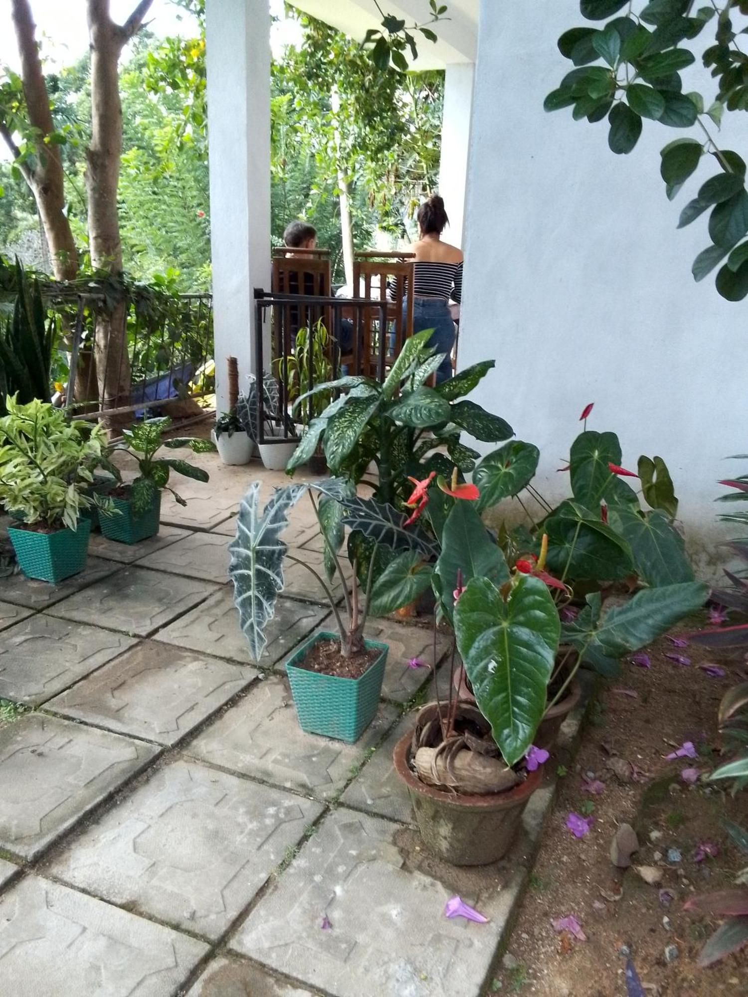 אלה Charming View Homestay חדר תמונה