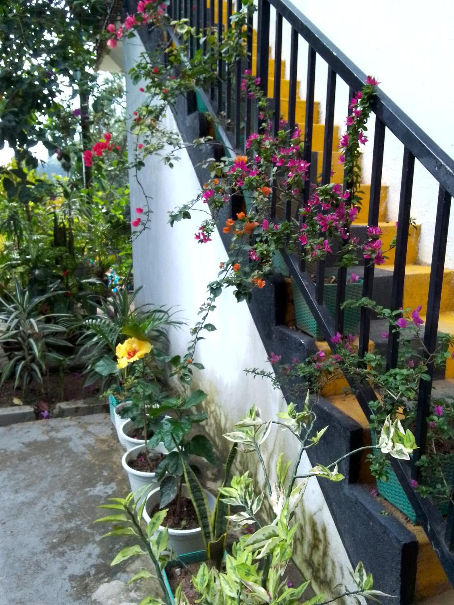 אלה Charming View Homestay מראה חיצוני תמונה